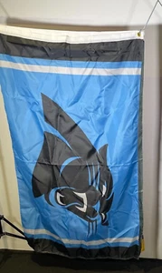 Carolina Panthers NFL Flag Banner 3x5 - Picture 1 of 1