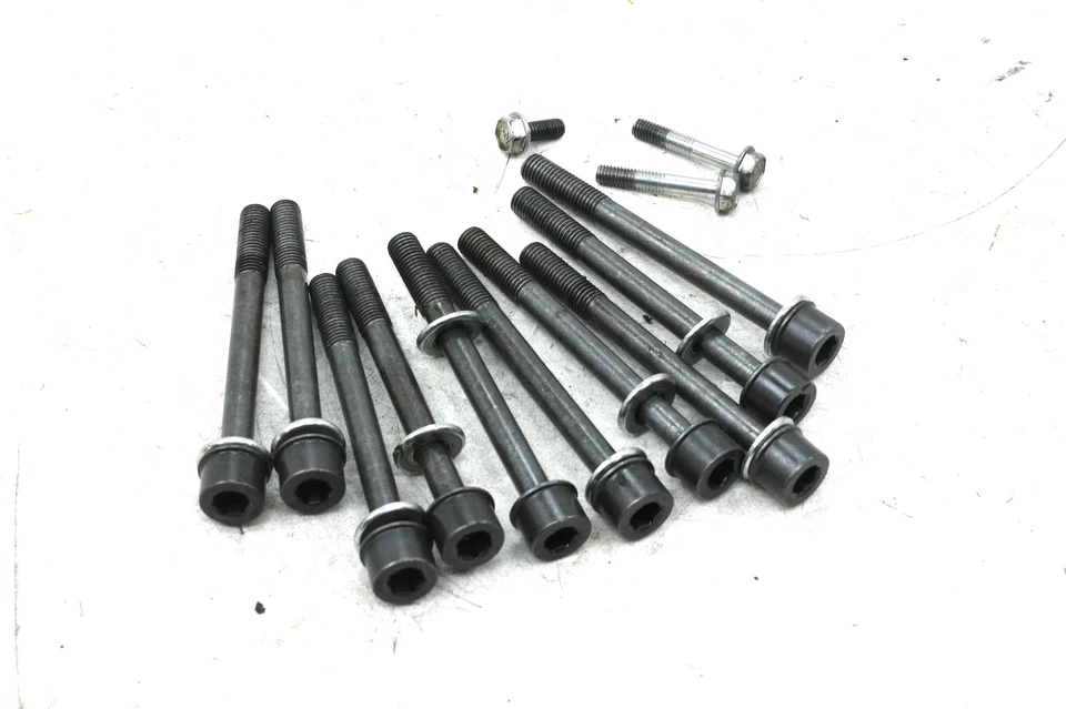 95-98 HONDA CBR600F3 OEM PERNOS DE MONTAJE DE MOTOR HARDWARE TORNILLOS DE MOTOR Foto 1 de 4