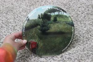 Discraft Michigan State Series 2016 Championship Tournament Disc Frisbee Golf - Bild 1 von 6