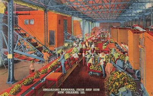 NEW ORLEANS LA UNLOADING BANANAS FROM SHIP 1937 VINTAGE LINEN POSTCRD 072524 T - Picture 1 of 2