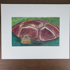 "Shuffles" tortoise color pencil archival artwork by Eric Pearson with Mating - Picture 1 of 8