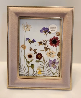 Marco Eccolo Dusty Rose Gamuza y Dorado 5x7 Nuevo Foto 1 de 3