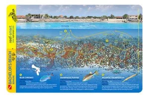 Bachelor's Beach Bonaire Reef Smart Waterproof Dive Card - Picture 1 of 2