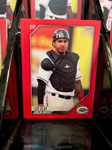 Luis Silva 2022 Carolina Mudcats #24 Milwaukee Brewers Rookie (RC) Choice