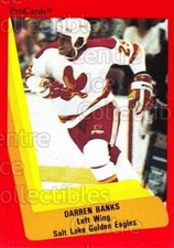 1990-91 ProCards AHL IHL #622 Darren Banks