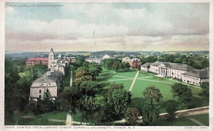ITHACA NY CORNELL UNIVERSITY CAMPUS c1910 DPC POSTKARTE 91024 T - Bild 1 von 2