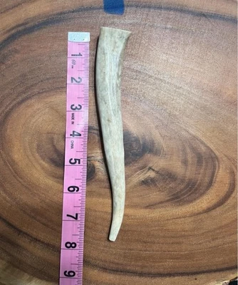 Dientes de ciervo - ver ambas fotos paquete de 2 - fabricación de cuchillos Foto 1 de 2