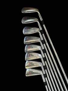 TaylorMade Tour Preferred T-D Irons 3-9 + PW Dynamic Gold+ S300 Stiff Shaft - Picture 1 of 12