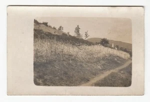 Fotografia FRIULI RETICOLATI E TRINCEE Prima Guerra Mondiale 15-18 Foto WWI - Picture 1 of 2