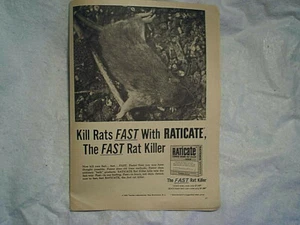 1966 RATICATE RAT KILLER POSION AD,dead rat,AD PRINT ONLY,farms,ranches,tavolek - Picture 1 of 2
