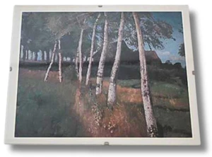 Landschaft mit Birkenreihe, gerahmt, ca. 25 × 20 cm - Bild 1 von 2