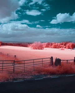 Infrared R59 Filter. 590nm for Fuji Fujifilm X mount APSC drop in style - Picture 1 of 10