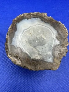 Las Choyas Coconut Geode Crystal 3 1/8" 11.1 oz. - Picture 1 of 4