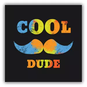Cool Dude Spruch Auto Autoaufkleber Aufkleber - "GRÖSSEN" - Bild 1 von 1