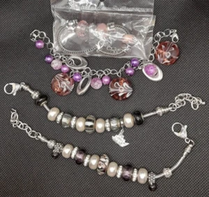 Bundle of Charm Bracelets and Charms 5 Bracelets plus 43 extra Charms - Picture 1 of 4