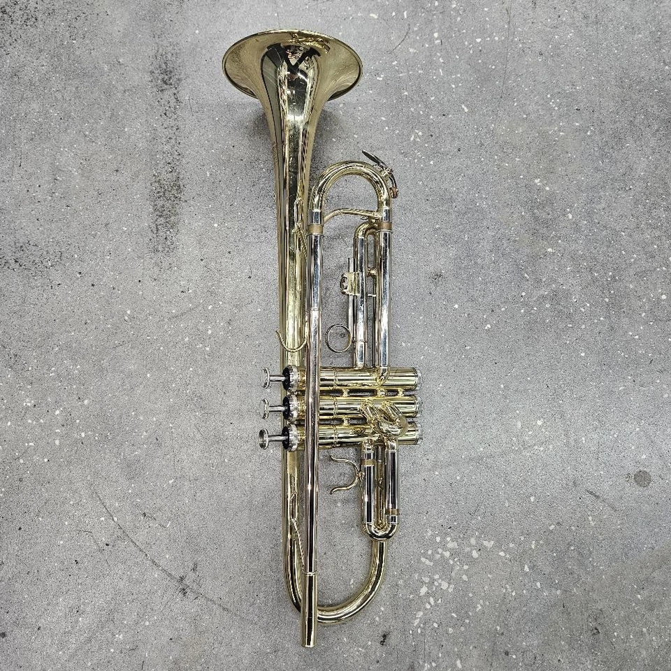 Trompeta Roy Benson Bb TR-202 Latón Amarillo con Estuche y Boquilla 5c y 7c Foto 1 de 4