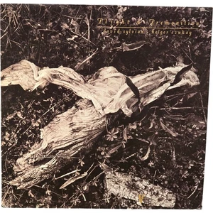 David Sylvian Holger Czukay Plight & Premonition 1988 LP Black Vinyl Venture - Picture 1 of 11