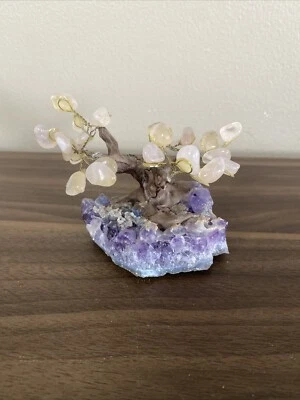 Árbol de dinero de cristal curativo de amatista natural en geoda de racimo de amatista de colección Foto 1 de 4