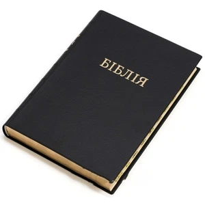 Bible in Ukrainian "БІБЛІЯ" переклад проф Огієнка 18х24см великий формат - Picture 1 of 5
