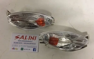 Coppia frecce anteriori complete Piaggio X9 180 Amalfi - X9 250 e 500 dal 2000 - Foto 1 di 1