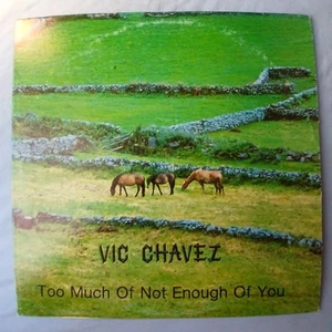 Vic Chavez Too Much Of Not Enough Of You Lrj Records 3002 - Picture 1 of 9