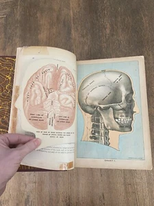 1904 Medicology Home Encyclopedia Of Health Illus | Ten Books, One Volume | Rare - Picture 1 of 14