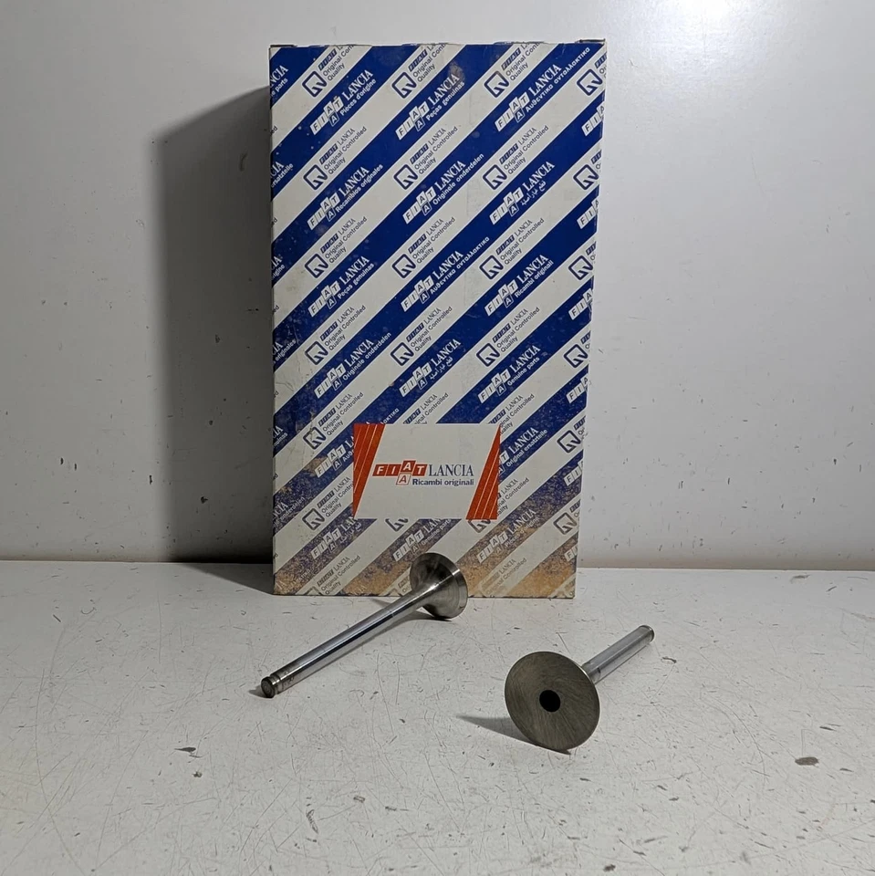 Kit 2 Pz Valves Of Discharge Fiat Duna DS - Punto DS - Bravo DS Original 5990533 - Image 1 of 1