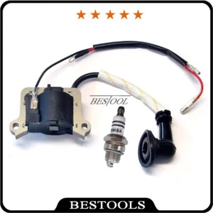 Bobina de encendido para desbrozadora Timbertech MS-2TL-52 / MS52-2TL Motorsense 3CV 52ccm - Imagen 1 de 3