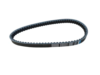 Correa De Transmisión Original Vespa Et2 50Cc Carburador Código De Motor C168M - Imagen 1 de 4