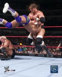 Foto Triple H WWE 8 X 10 AAGU163 - Imagen 1 de 1