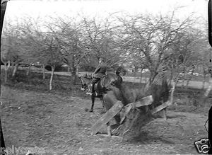 Hombre Jinete Caballo Salto Obstáculos - Antiguo Negativos Cristal Foto - An. - Picture 1 of 1