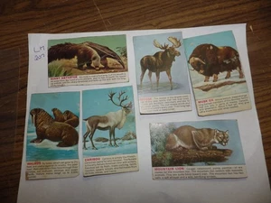 LOT OF 6 VTG 1950'S CUT OUT BOX CUT OUT ANIMAL KINGDOM TRADING CARD GENERAL MILL - Picture 1 of 2