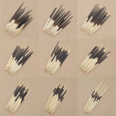 10PCS Porcupine Quills Fishing Bobber Craft Handwork Custom Made DIY Supplies - Image 1 of 4