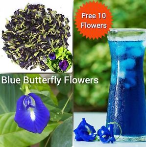 100% Dried Butterfly Pea Tea 25g Pure Organic Natural Herbal Blue Drink FREE 10
