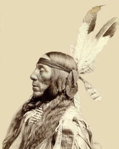 Lean Wolf Native American Indian, Old West 8x10 Photo 47 - Picture 1 of 2