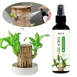 Plant Specific Nutrient Solution Brazilian Wood Plant Nutrients Fertilizer D6Q1 - Picture 1 of 12