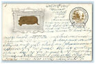1905 Golden Dog Natura Fortis Industria Crescit Quebec Mystic CT Postcard