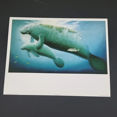 Impresión Wyland 1988 8 por 10 manatíes (f) Foto 1 de 4