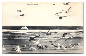 Möwen und Meer Postkarte - Bild 1 von 2