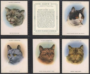 Full Set, Players, Cats (L) EX 1936 (w13J84-338) - Picture 1 of 1