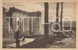 ORVIETO - L'ANTICA FORTEZZA (TERNI) - Picture 1 of 1