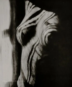 1923/75 MAN RAY Vintage Surreal Female Nude KIKI DE MONTPARNASSE Photo Art 12x16 - Picture 1 of 1