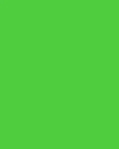 10x12 CHROMAKEY GREEN SCREEN MUSLIN BACKGROUND BACKDROP - Picture 1 of 1