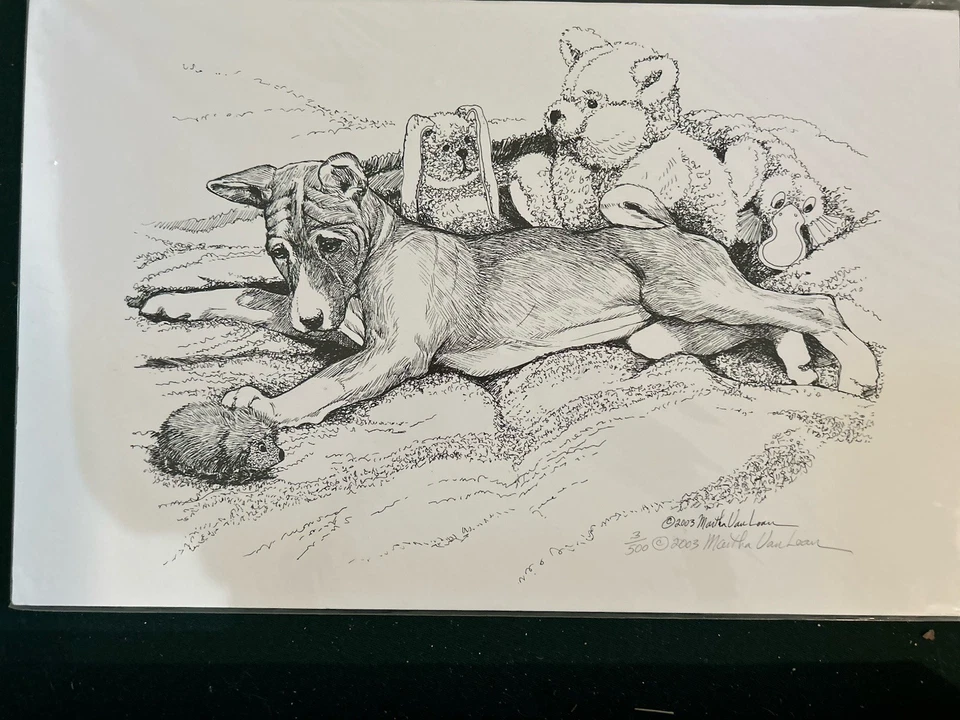 Basenji. Puppy With Toys Print Signed By Martha Van Loan 11x17 - Image 1 of 1