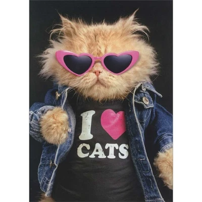 Genial gato en chaqueta de mezclilla con gafas de sol rosa corazón divertidas solo para divertidas tarjetas Foto 1 de 2