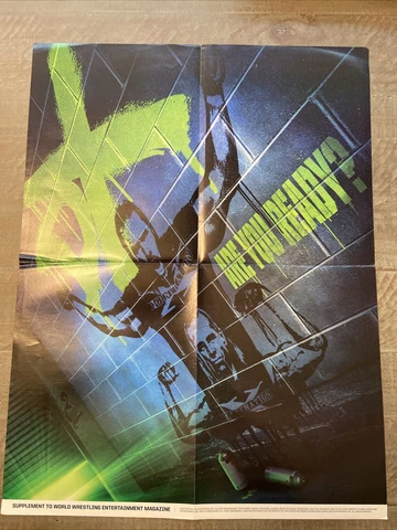 D-Generation X Graffit on Wall Promo WWF WWE Wrestling Poster 21" by 16" Cover