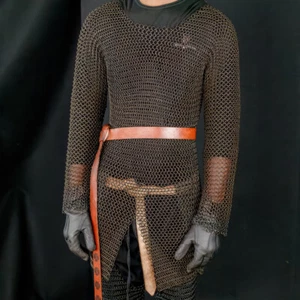 Chainmail Armor Full Sleeve Knight Shirt | Mild Steel Medieval Hauberk | 6 Color - Picture 1 of 1