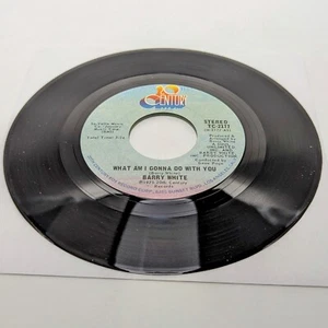 Barry White "What I'm Going To Do With You" 1975 20th Century TC-2177 7" 45 - Picture 1 of 5