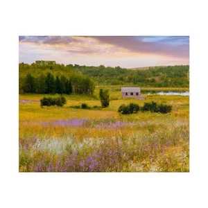🌾 Rustikale Wildblumenwiese Poster - Land Natur Wandbild für Bauernhaus Deko - Bild 1 von 25