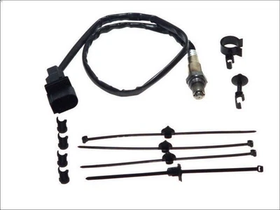 Sonda Lambda BOSCH 0 258 007 355 para VW GOLF IV (1J1) 1.6 2002-2005 - Imagen 1 de 4